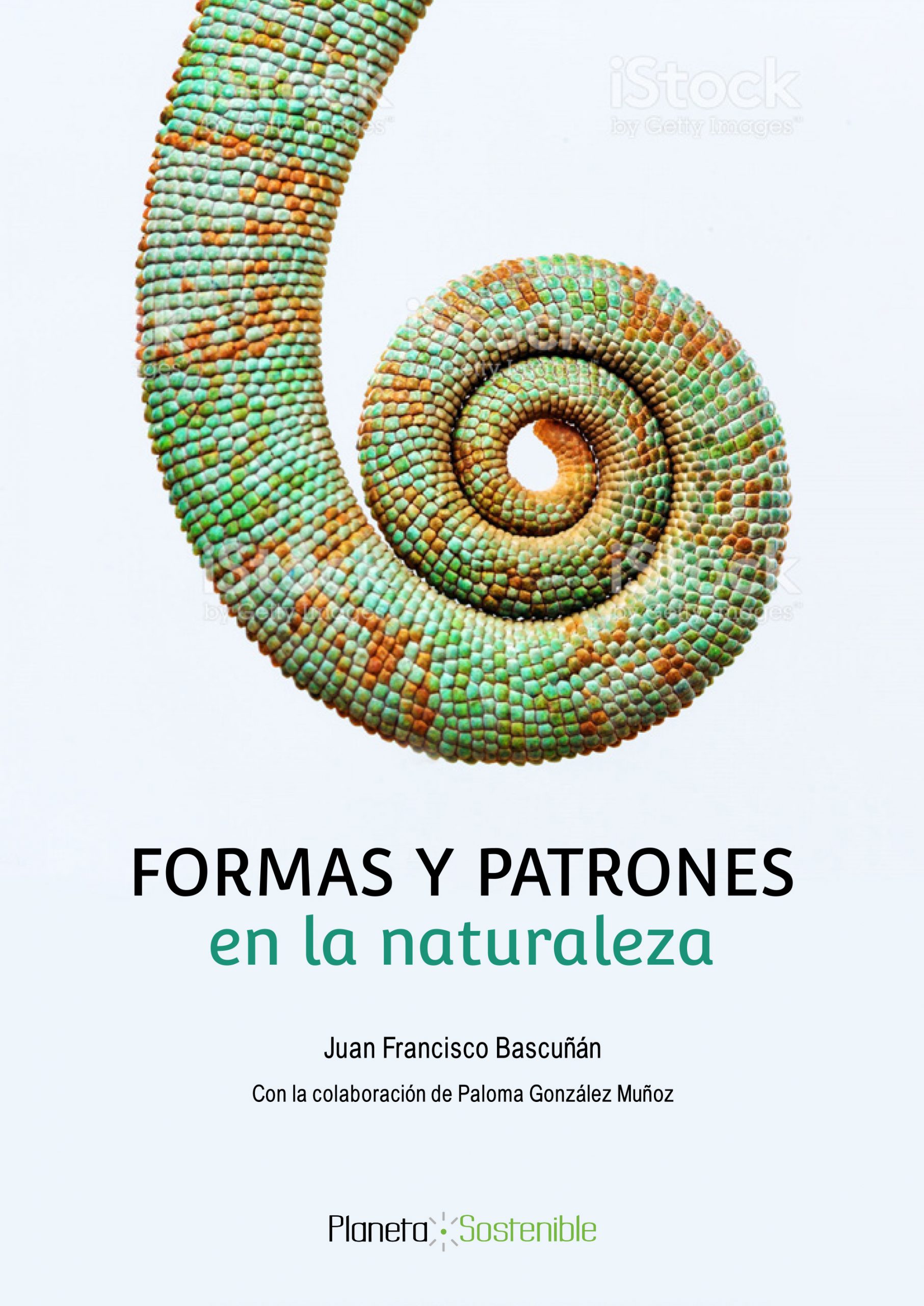 FORMAS Y PATRONES EN LA NATURALEZA – Salón de Derechos