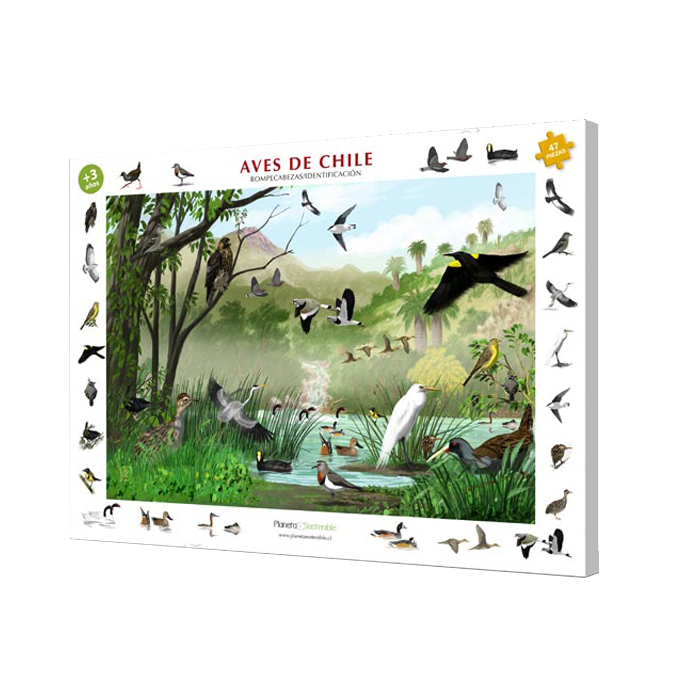 rompecabezas de aves