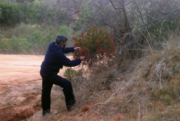 Recolectando flores para la meditacion