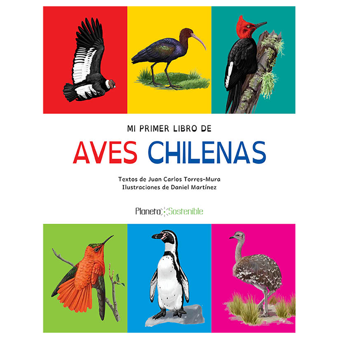 Mi Primer Libro De Aves Chilenas Planeta Sostenible