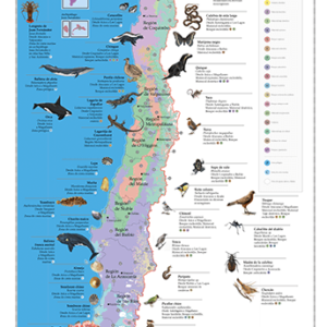 Animales de Chile, mapa biogeográfico