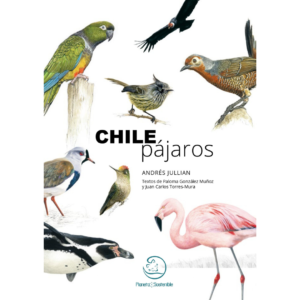 Chile pájaros, una aproximación a las aves del centro sur de Chile