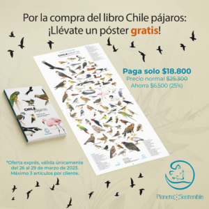 Pack Libro Chile pájaros + póster de regalo