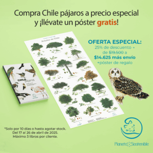 Oferta especial: Chile pájaros + póster gratis