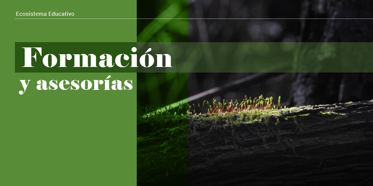 Formación_asesorías2