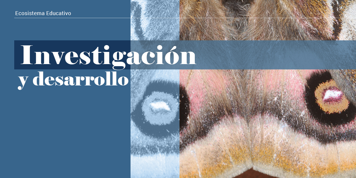 Investigacion_desarrollo